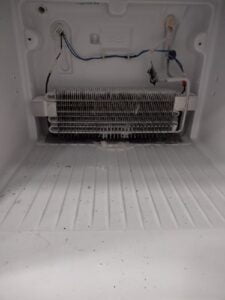 WhatsApp Image 2024-01-20 at 10.17.58 PM