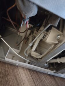 WhatsApp Image 2024-01-20 at 10.17.59 PM