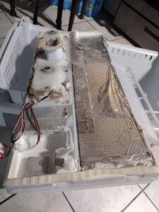 WhatsApp Image 2024-01-20 at 10.18.03 PM